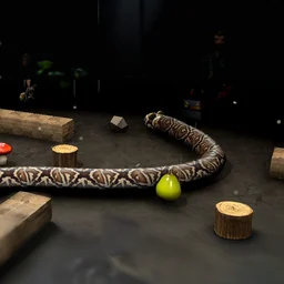 Snake 3D